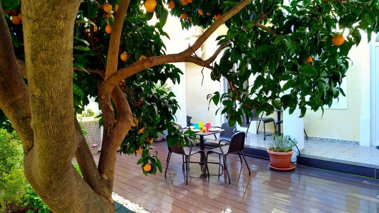 Sunny Orange Garden In * Lisbon
