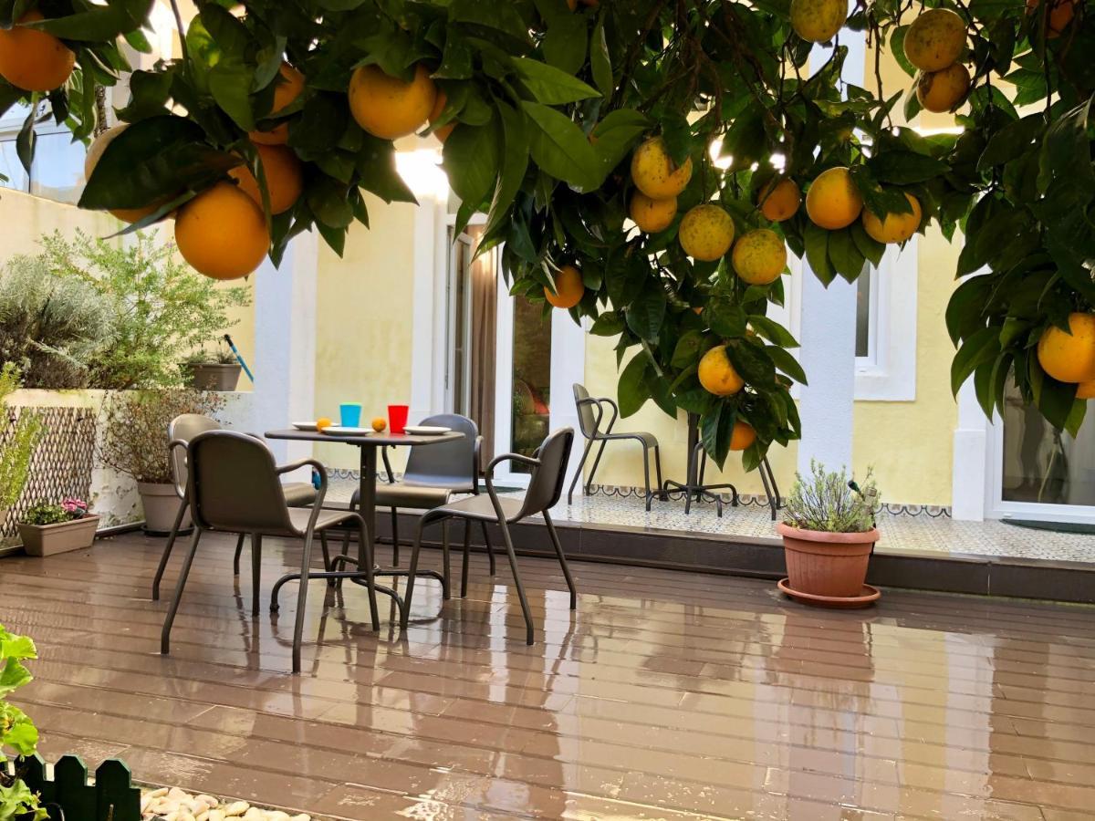 Apartment Sunny Orange Garden In Lisbon