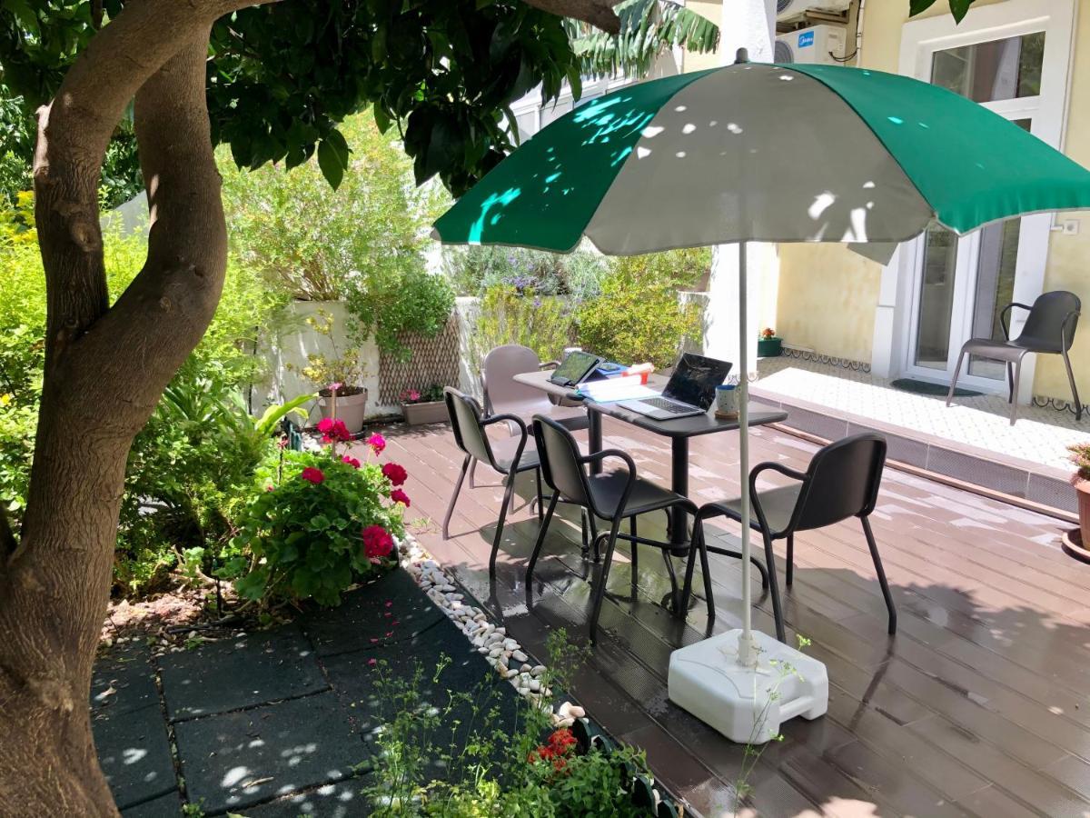Sunny Orange Garden In Apartment