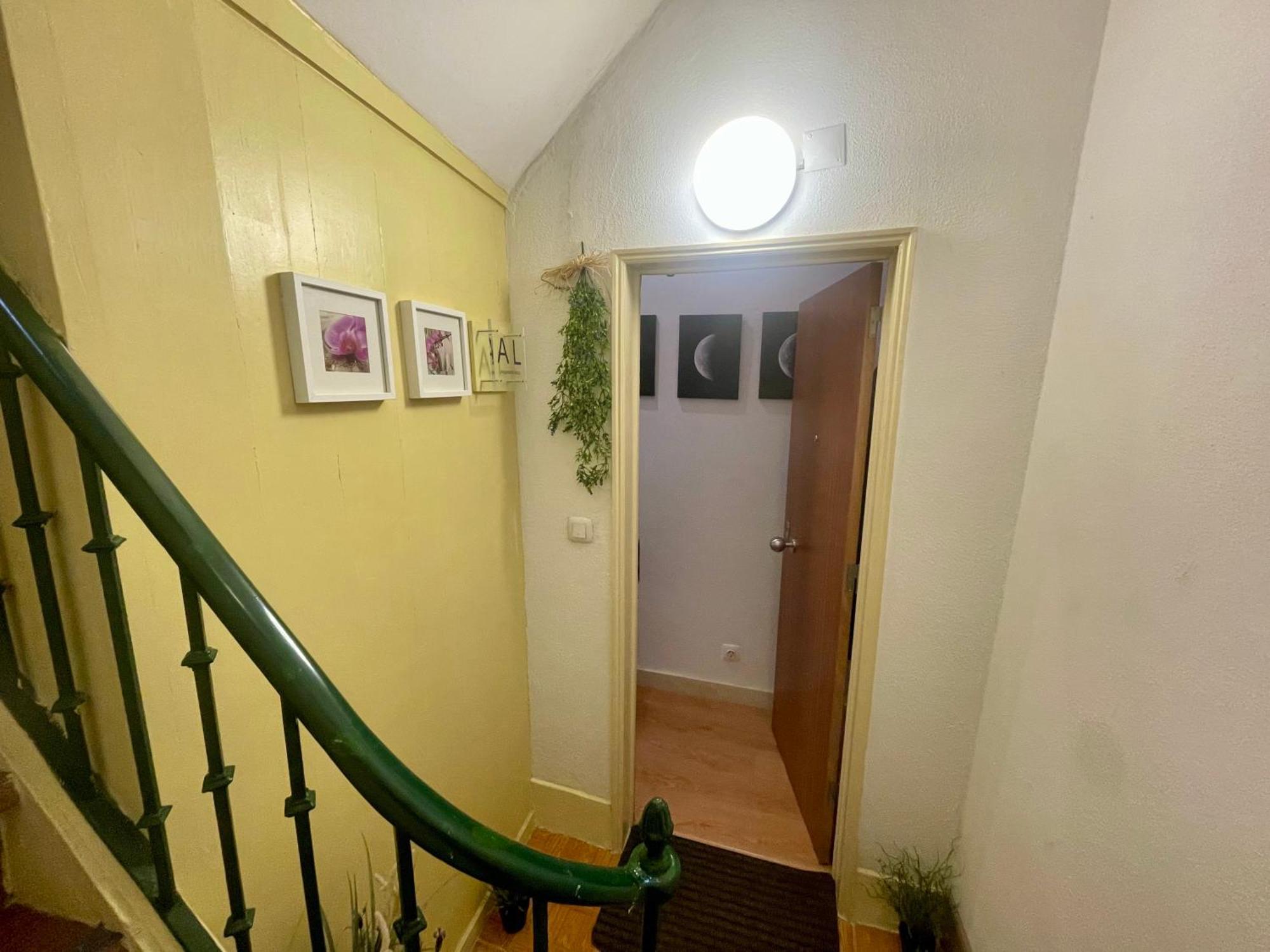 Sunny Orange Garden In Apartment