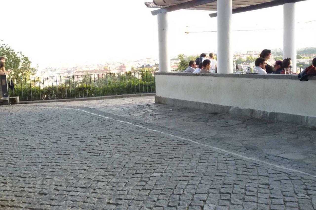 Sunny Orange Garden In Lisbon