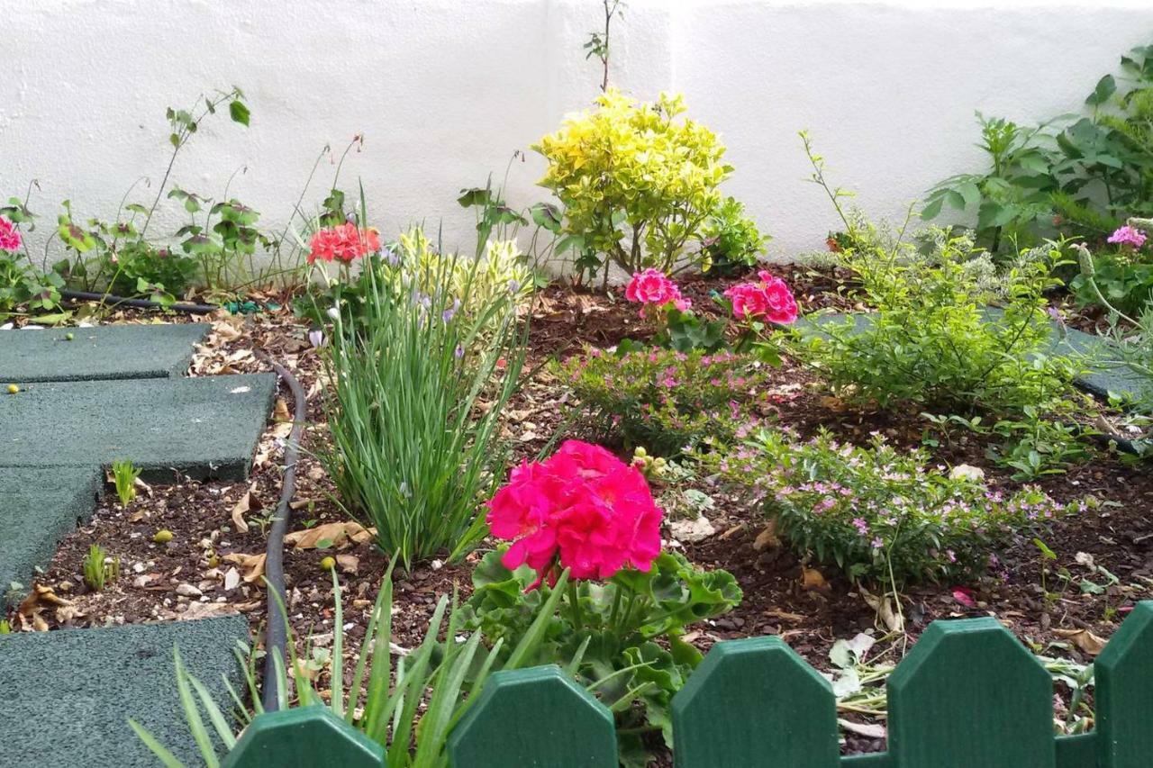 Sunny Orange Garden In Apartment