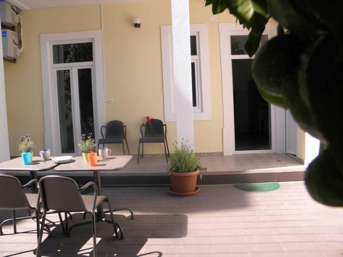 Sunny Orange Garden In Apartment *