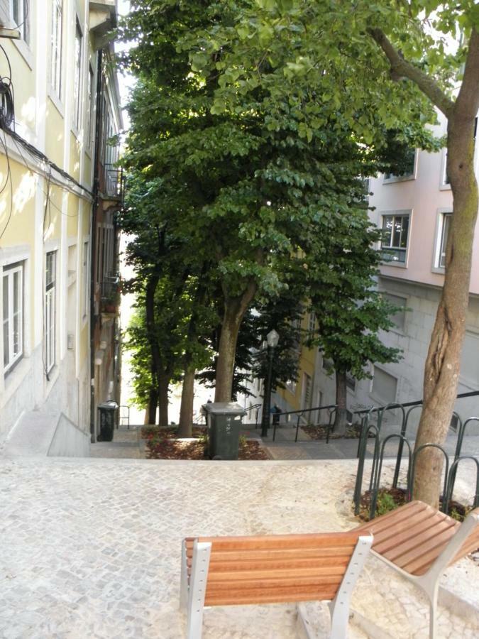 Sunny Orange Garden In * Lisbon