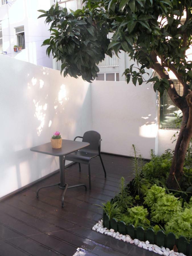 Sunny Orange Garden In Apartment *