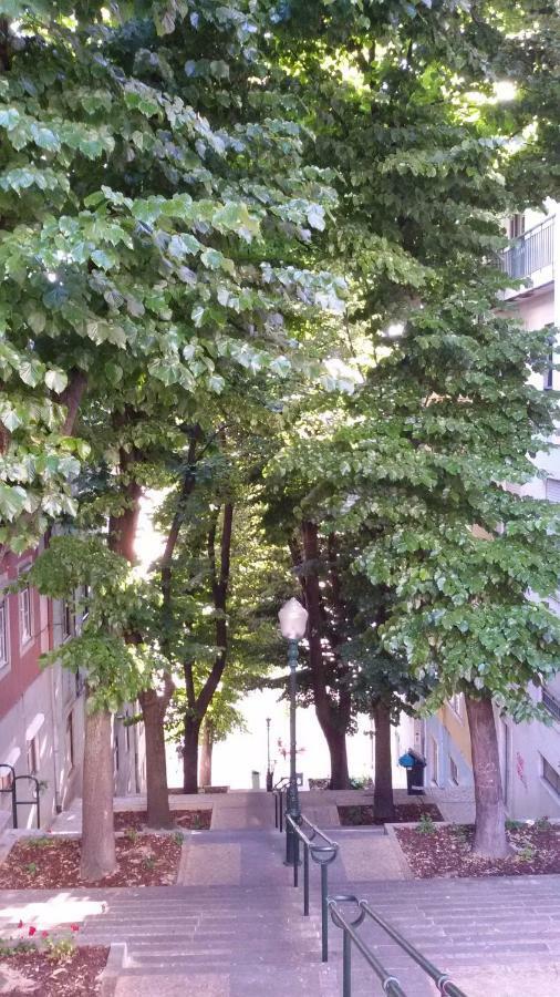 Sunny Orange Garden In * Lisbon