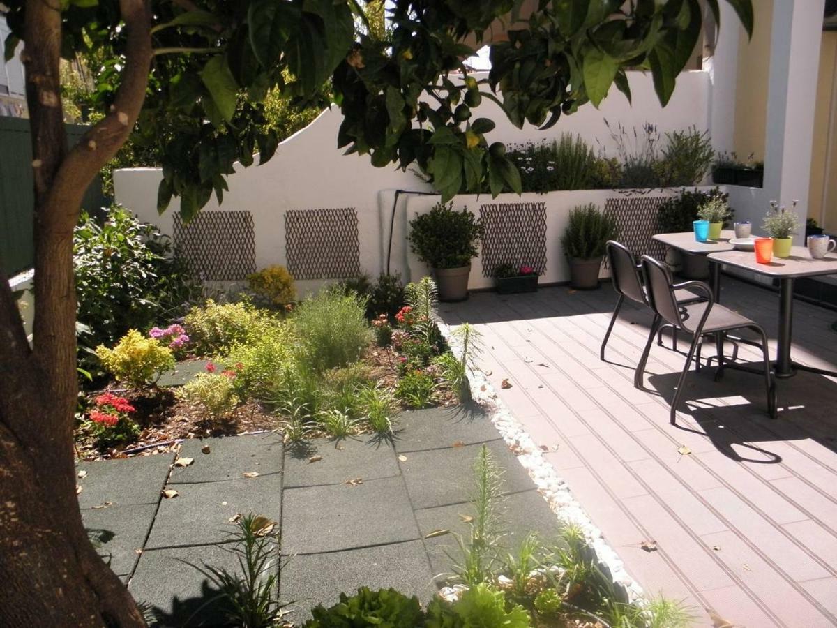Sunny Orange Garden In Apartment Lisbon